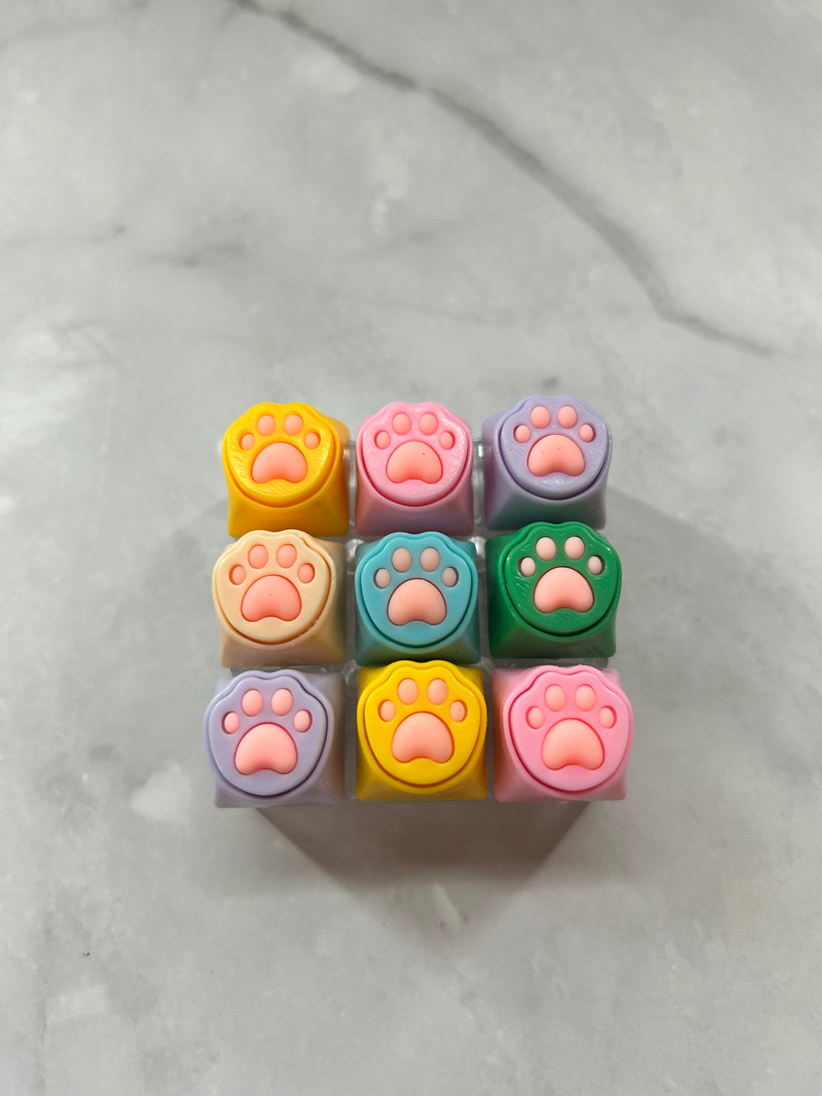 Light Up Paw Clicker