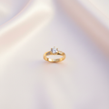 Gold Solitaire Pavé Band Ring - Flat Lay