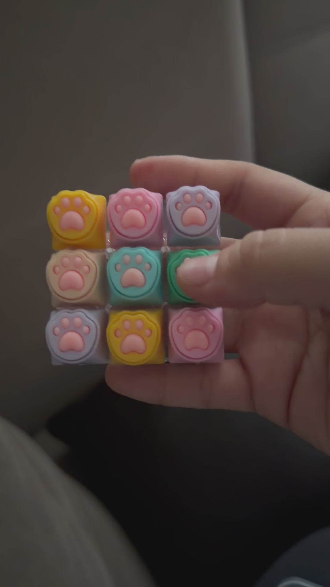 Light Up Paw Clicker